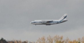 OI000008-1.jpg