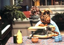 Alf-Cat-Lunch-1-700x500.jpg