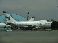 IMG_0264.jpg