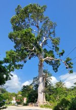 IMG-20220129-WA0011.jpg