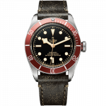 tudor-black-bay-m79230r-0011-1.png