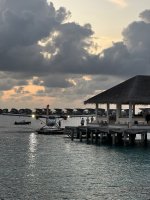 IMG_2481.jpg