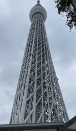 skytree.png