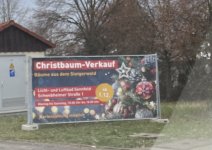 IMG_2726.jpeg
