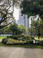 Ayala Triangle Gardens Walk - 5.jpeg