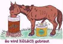 Koelsch.jpg