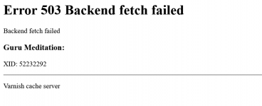 Screenshot 2024-06-03 at 12-07-54 503 Backend fetch failed.png