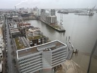 IMG_4695.jpeg
