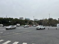 IMG_3033.jpeg