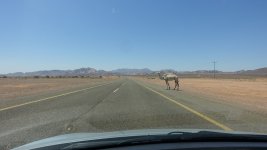 DSC03639-k.jpg