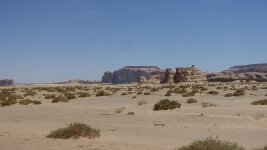 DSC03713-k.jpg