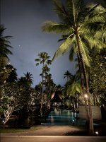 IMG_0095.jpeg