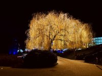 RC WOB Autostadt Weihnachten 1.jpeg