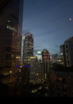 IMG_0810.jpeg