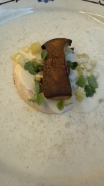 IMG_3348.jpeg