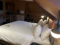 IMG_0975.jpeg