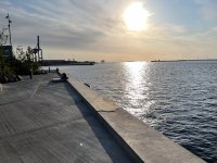IMG_8608.jpg