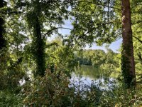 IMG_1336.jpeg
