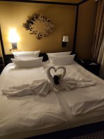 IMG_20250607_213843.jpg