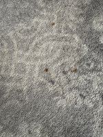 IMG_9692.jpeg