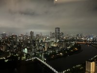 1osakadoubletree2.jpeg