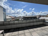 IMG_6269.JPEG