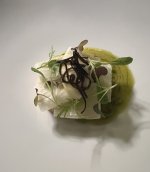 IMG_0260.jpeg