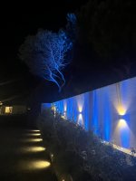 IMG_0422.jpeg