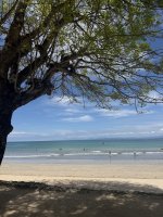 IMG_2273.jpeg