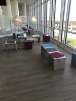 IMG_3101.jpeg