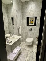 IMG_7998.jpeg