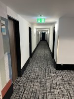 IMG_3781.jpeg