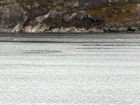 IMG_9294.jpeg