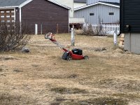 IMG_9066.jpeg