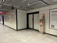IMG_8155.jpeg