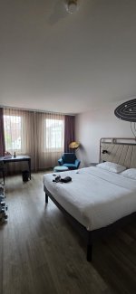 Ibis2.jpg