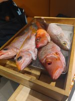 IMG_20260616_201148.jpg