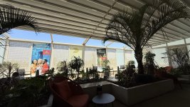 IMG_9779.jpeg