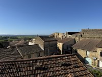 IMG_4228.JPEG