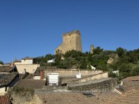 IMG_4229.JPEG