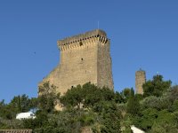 IMG_4230.JPEG