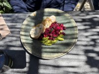 IMG_4287.JPEG