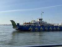 IMG_0504.jpeg