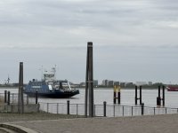 IMG_9824.jpeg