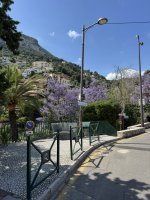 IMG_4503.JPEG