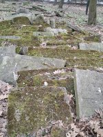 20260326_092715.jpg