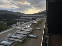 IMG_7280.jpeg