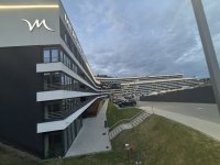 IMG_7331.jpeg