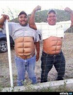 zaun--sixpack.jpg