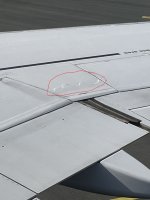 k-Flügel.JPG